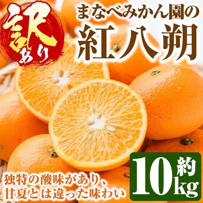 ＜先行予約受付中！2027年2月上旬以降順次発送予定＞訳あり！まなべみかん園の紅八朔(約10kg) 国産 鹿児島県産 阿久根市産 柑橘類 みかん 蜜柑 果物 ミカン デザート フルーツ 数量限定 期間限定 ご自宅用 ご家庭用【有限会社まなべみかん園】akn034-03
