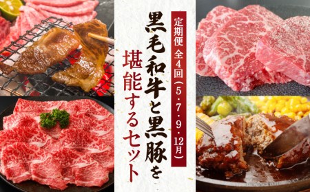 【全4回】黒毛和牛と黒豚を堪能するセット K098-T05 肉 豚肉 牛肉 冷凍