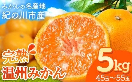 【先行予約】完熟 温州みかん 約5kg (45~55玉) こだまファーム《2026年10月中旬-2027年2月中旬頃出荷》 みかんみかんみかん