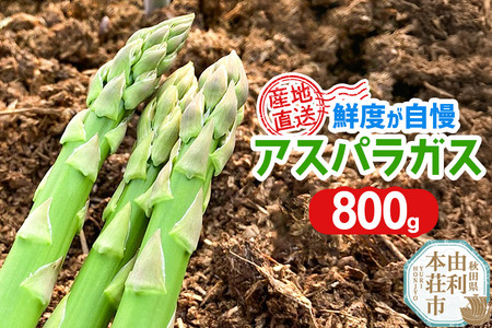 《先行受付》アスパラガス 800g 7月上旬～8月下旬発送 