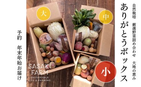 旬の野菜詰め合わせ ～ありがとうBOX2026・小～ 12月1日～1月31日頃お届け 先行予約 北海道 野菜 やさい 詰め合わせ セット 北海道産 常備菜 加工品 自然栽培 佐々木ファーム 産地直送 洞爺湖町