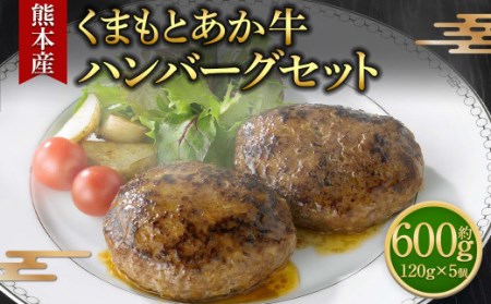 熊本県産くまもとあか牛 ハンバーグセット 120g×5個 計600g 