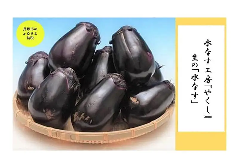  水なす工房『やくし』生の「水なす」15個