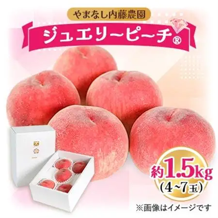 桃 1.5kg 4～7玉 やまなし内藤農園 ジュエリーピーチ (R) 白桃【配送不可地域：離島・沖縄県】【1045097】