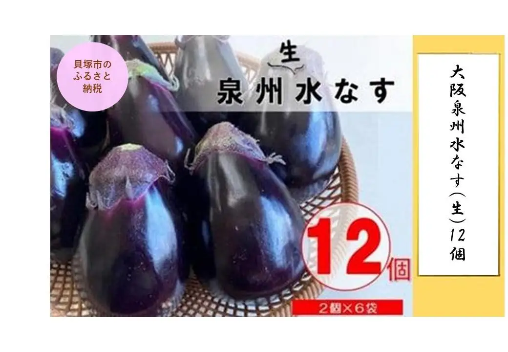 大阪泉州水なす(生)12個