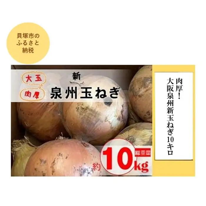 肉厚！大阪泉州新玉ねぎ10kg