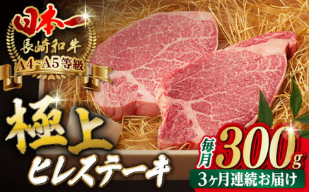 【全3回定期便】ステーキ 定期便【野中精肉店】[VF10] ステーキ 定期便