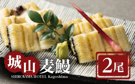 SHIROYAMA HOTEL kagoshima 城山麦鰻 K096-007 うなぎ ウナギ 鰻 ブランド鰻