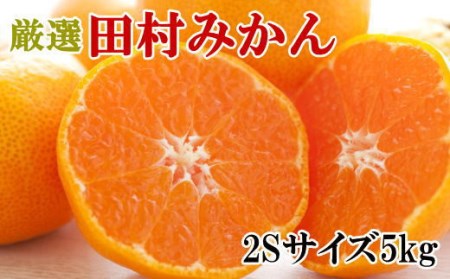 【有田のブランドみかん】田村みかん 約5kg (2Sサイズ・秀品)