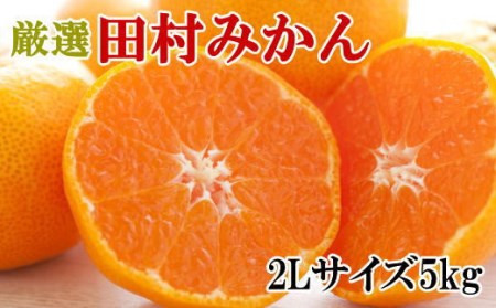 【有田のブランドみかん】田村みかん 約5kg (2Lサイズ・秀品)