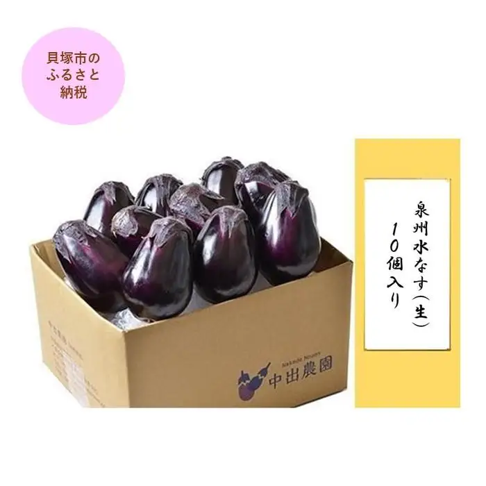 【先行予約】泉州水なす（生）１０個入り