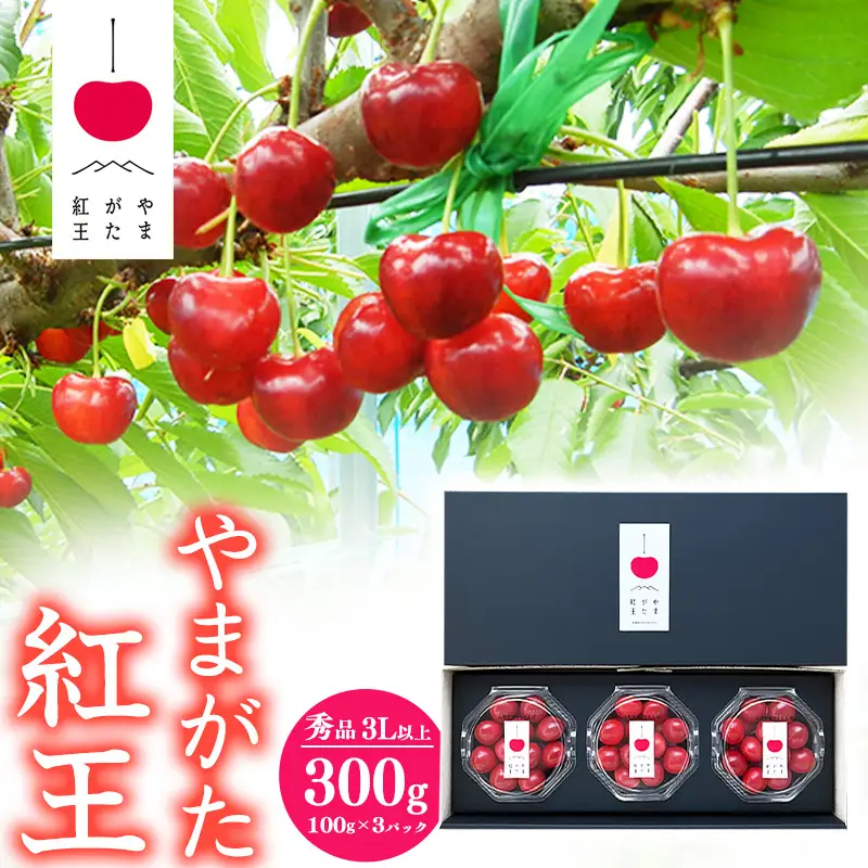 【先行予約】さくらんぼ 「やまがた紅王」3Lサイズ以上 秀品 300g（100g×3）化粧箱 ダイヤパック 2026年産 令和8年産 山形県産 【2026年6月中旬頃～下旬頃発送予定】 ※配送不可 沖縄・離島 024-A-SW002
