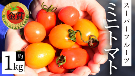 スーパーフルーツ ミニトマト 約1kg 2026年2月上旬発送開始 [BC070sa]