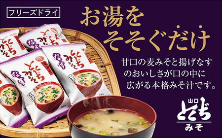 D499 とくぢ味噌フリーズドライみそ汁（なす）30ヶ入