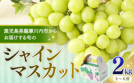 【先行予約】【数量限定】シャインマスカット2kg　(2～6房) 「2026年7月下旬より順次出荷予定」 BS-714