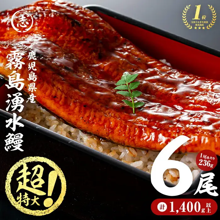 【数量限定】超特大！鹿児島県産 山田水産の霧島湧水鰻(計1400g以上・236g以上×6尾) c5-039-yy