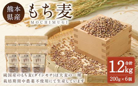 もち麦 計1.2kg（ 200g×6個 ） 水俣市 もち麦工房