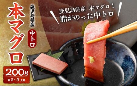 AS-401 鹿児島県産 本マグロ【黒マグロの中トロ】 200g(約2～3人前) 【2026年1月下旬より順次出荷】 