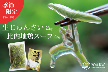 生じゅんさい2kg＋比内地鶏スープ200ml×4袋 《冷蔵》（2026年5月上旬頃～7月下旬までに発送予定） 令和8年産 2026年産 先行受付  秋田県産 三種町産