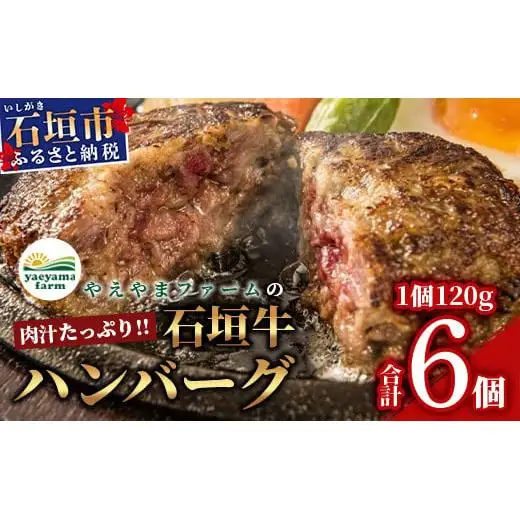 やえやまファームの石垣牛ハンバーグ 6個セット E-27