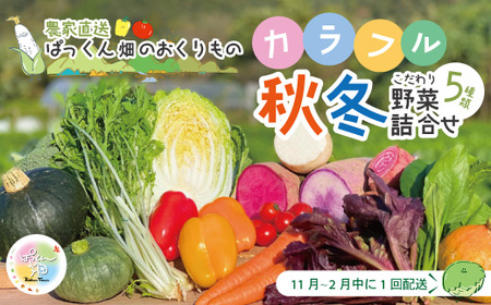 【 早期受付 】 とれたて 新鮮 ！ぱっくん畑のおくりもの 農家直送 秋・冬 野菜セット 約5種類 国産 野菜 やさい 先行 予約 高知県 高知 しまんと 四万十市 野菜便 限定 お取り寄せ 【2026年11月～2027年2月の間に1回配送】26-054