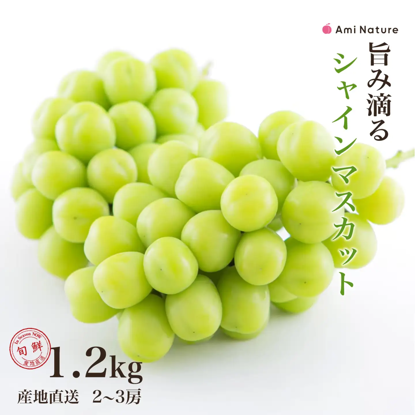 【2026年発送★先行予約】さわやかに滴るシャインマスカット 約1.2kg以上 065-023-26y