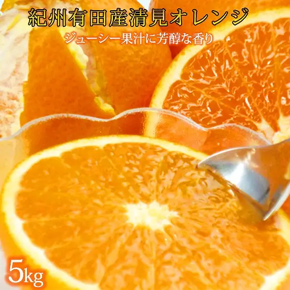 とにかくジューシー清見オレンジ　5kg［2027年3月下旬以降発送］［先行予約］［UT53］