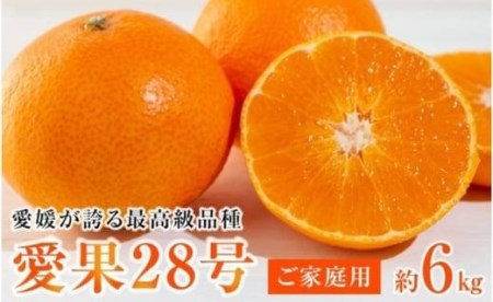 【2026年12月上旬から順次発送】愛媛が誇る最高級柑橘【愛果28号】ご家庭用6kg(30個前後)　あいか ご家庭用 みかん 数量限定 みかん 愛媛県産 みかん 愛果28号 松山市 みかん 愛果28号 みかん 蜜柑 愛果28号 ミカン みかん 旬 愛果28号 愛媛県 松山市【AB0022】