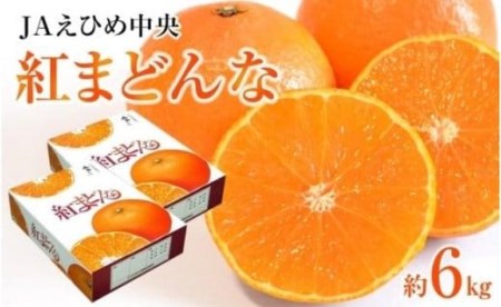 【2026年12月上旬から順次発送】JAえひめ中央【紅まどんな】化粧箱2箱 6kg 愛媛 みかん 紅マドンナ 紅まどんな 蜜柑 柑橘 果物 贈答 愛媛のみかん くだもの フルーツ 愛媛県 松山市【AB0072】