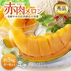 SB0906　庄内砂丘の旬夏 「秀品 赤肉メロン」　約5kg(4～6玉入) 