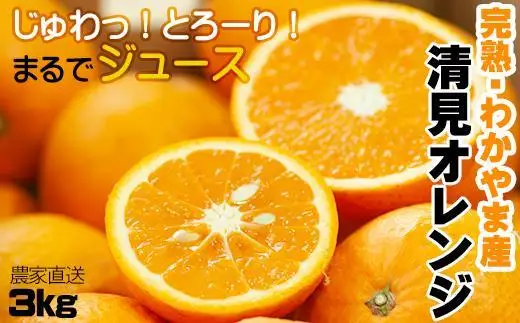 【令和9年 先行予約】清見オレンジ 3kg 混合サイズ 和歌山県 海南市 鈴木農園から直送 清見オレンジ 贈答 プチギフト