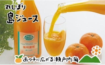 みかんジュース 希望の島 みかんジュース 「丸しぼり果汁」 720mｌ×2本 【FT0021】