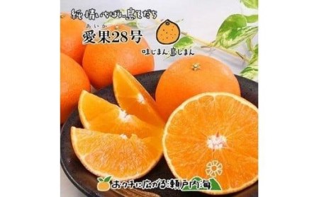 【2026年12月頃から順次発送】【紅まどんなと同品種】 愛果28号 家庭用 約3kg まどんな【FT0321】