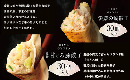 愛媛の甘とろ豚餃子(30個）・愛媛の鯛ぎょうざ（30個）【GF003_x】餃子 餃子 餃子 餃子 餃子