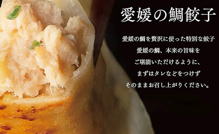 愛媛の鯛ぎょうざ（30個）【GF0041】餃子 餃子 餃子 餃子 餃子