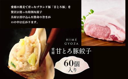 愛媛の甘とろ豚餃子(60個） （ おかず オカズ お惣菜 時短料理 中華 大人気 おいしい 美味しい 満腹 まんぷく 国産 小麦粉 一人暮らし 鉄板 時短 簡単 冷凍 愛媛 松山 三津浜 すみれ ）【GF0061】