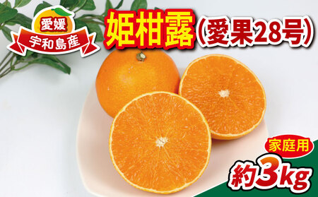 【愛果28号】 3kg 家庭用 姫柑露 南四国ファーム 愛果【B013-035011】