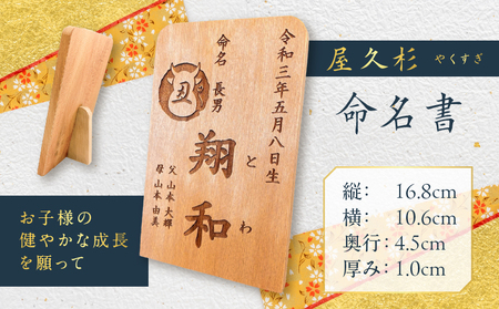 屋久杉 命名書 K042-003