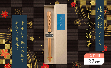 屋久杉 ねじり 一膳 箸 女性用（ 22cm ） K042-005_1