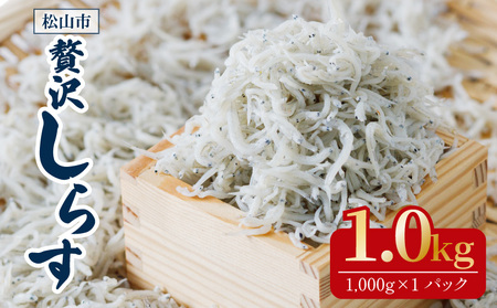 【しらす】釜揚げしらす 1kg ( 1kg × 1パック ) 愛媛県松山市【IY0031】