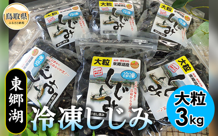 東郷湖冷凍しじみ（大粒） 3kg_T2600035