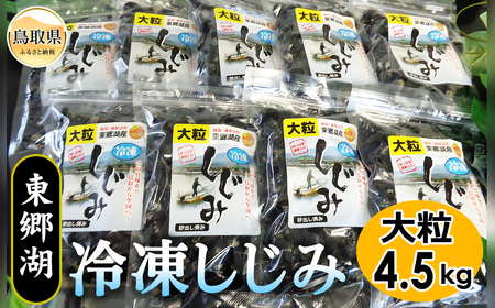 東郷湖冷凍しじみ（大粒） 4.5kg_T2600036