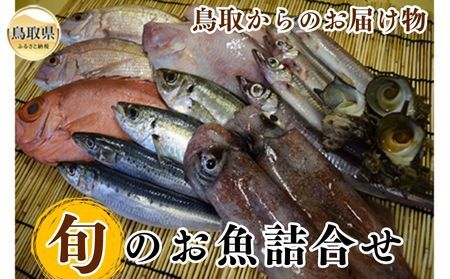鳥取からのお届け物「旬」のお魚詰合せ【数量限定】_T2600139