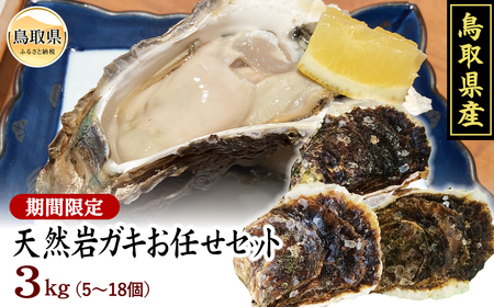  【魚倉】鳥取県産 天然岩ガキお任せセット 3kg（5～18個）【期間限定】_T2600170
