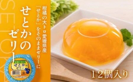 せとかのゼリー12個入り ゼリー ゼリー ゼリー ゼリー ゼリー【JZE001_x】