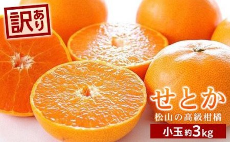 【2027年2月中旬頃から順次発送】せとか＜小玉＞ 約3kg | せとか 愛媛県 松山市 柑橘 小玉 こだま【KK0291】