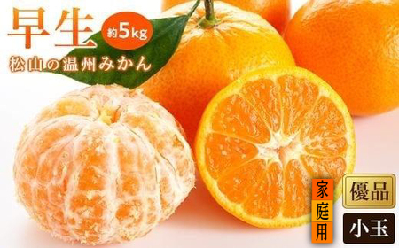 【2026年11月中旬頃から順次発送】温州みかん「早生」 家庭用(優品)・小玉 約5kg （ 愛媛産 愛媛県産 国産 愛媛みかん 愛媛蜜柑 愛媛ミカン みかん ミカン mikan 蜜柑 柑橘 フルーツ 果物 くだもの お取り寄せ 産地直送 数量限定 人気 おすすめ 愛媛県 松山市 送料無料 ）【KK0521】