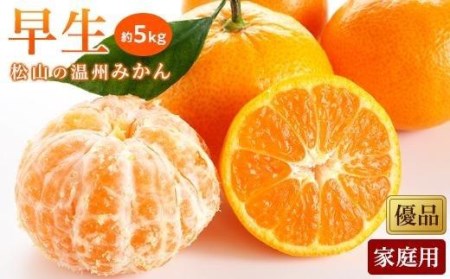 【2026年11月中旬頃から順次発送】温州みかん「早生」＜優品・家庭用＞約5kg （ 愛媛産 愛媛県産 国産 愛媛みかん 愛媛蜜柑 愛媛ミカン みかん ミカン mikan 蜜柑 柑橘 フルーツ 果物 くだもの お取り寄せ 産地直送 数量限定 人気 おすすめ 愛媛県 松山市 送料無料 ）【KK0531】
