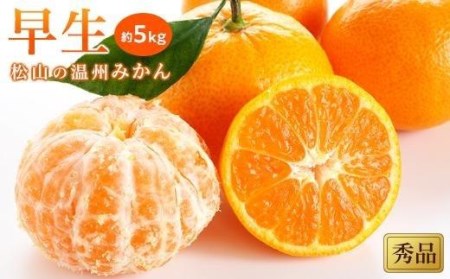 【2026年11月中旬頃から順次発送】温州みかん「早生」＜秀品＞約5kg（ 愛媛産 愛媛県産 国産 愛媛みかん 愛媛蜜柑 愛媛ミカン みかん ミカン mikan 蜜柑 柑橘 フルーツ 果物 くだもの お取り寄せ 産地直送 数量限定 人気 おすすめ 愛媛県 松山市 送料無料 ）【KK0541】
