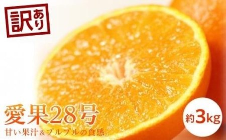 訳あり 愛果28号 (紅まどんな と同品種) 約3kg 【2026年11月中旬頃から順次発送】 | みかん 蜜柑 紅まどんな と同品種 高級 愛媛 松山 【KK0612】